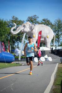 BIB: 
                            <button type="button" onclick="openModal(26542804)" class="btn btn-primary btn-sm float-right btn-popup" data-toggle="modal" data-target=".modal-high-quality">
                        <i class="fas fa-shopping-cart"></i> Add to Cart
                    </button>
                                            <button type="button" onclick="isThisMe(26542804, true)" class="btn btn-success btn-sm float-right btn-popup btn-isme hidden" data-toggle="tooltip" data-placement="bottom" title="นี่คือรูปของคุณใช่ไหม คลิกที่นี่เพื่อเอาเข้าอัลบั้ม">
                        <i class="fas fa-plus"></i> Add to album
                    </button>
                    <button type="button" onclick="isThisMe(26542804, false)" class="btn btn-warning btn-sm float-right btn-popup btn-isnotme hidden">
                        <i class="fas fa-ban"></i> Remove from album
                    </button>